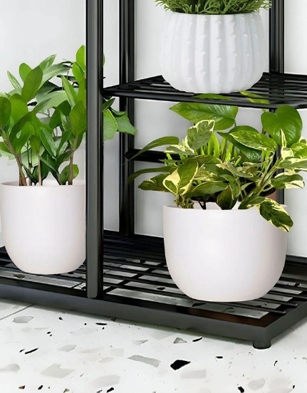 Eden Plant Stand 5 Tier Rack Pot Plant Holder